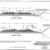 Southern-Railway-Standard-Plans-PDF-on-CD-RailfanDepot-401159636226-4