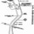 LN-now-LCL-Sub-Louisville-to-Cincinnati-PDF-on-CD-RailfanDepot-401160372877-2