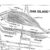 Conrail-Shared-Assets-North-Jersey-track-yard-maps-PDF-on-CD-RailfanDepot-162146635709-4